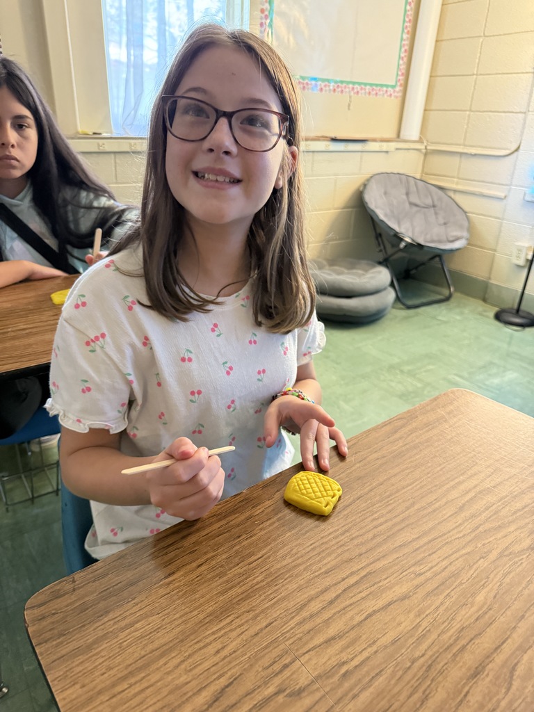 LMS 6th grade social studies students