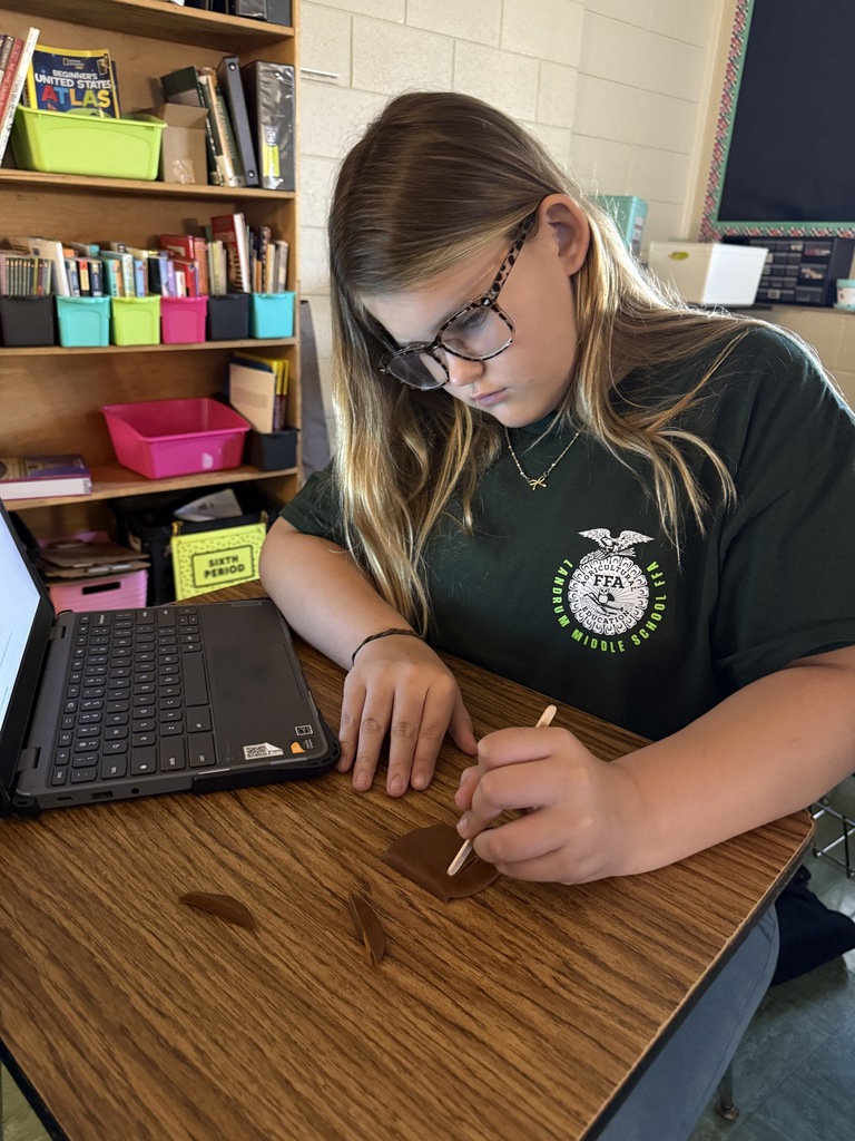 LMS 6th grade social studies students