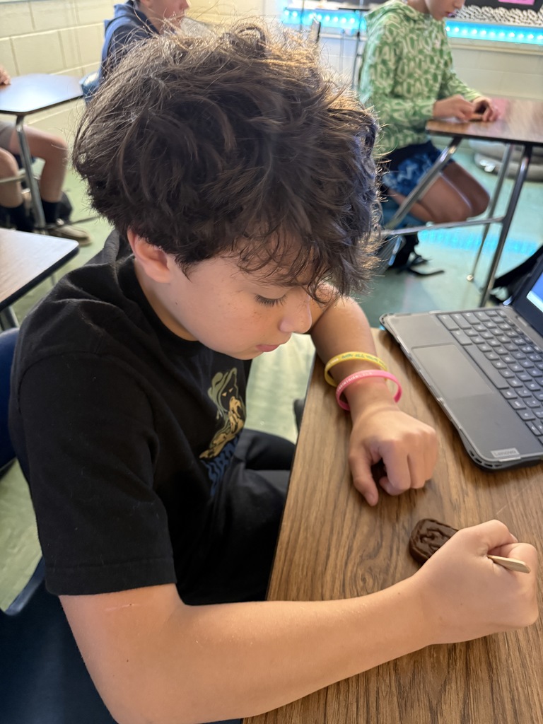 LMS 6th grade social studies students