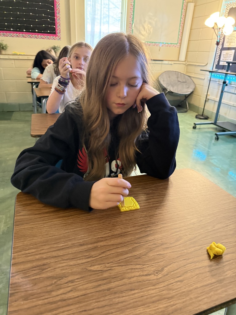 LMS 6th grade social studies students