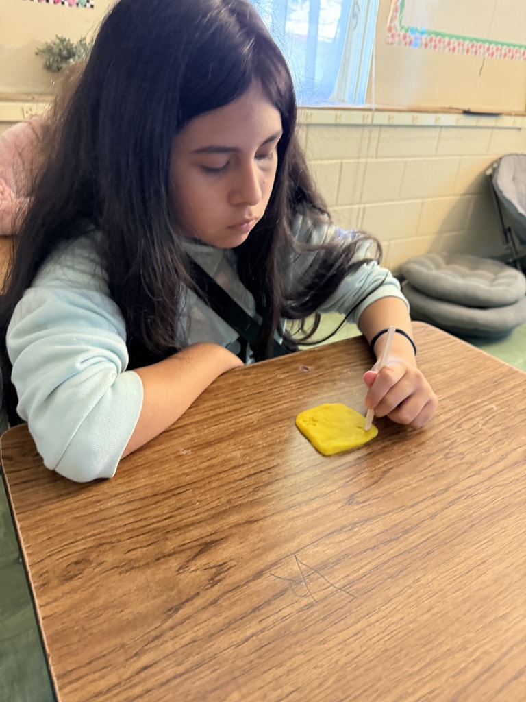LMS 6th grade social studies students