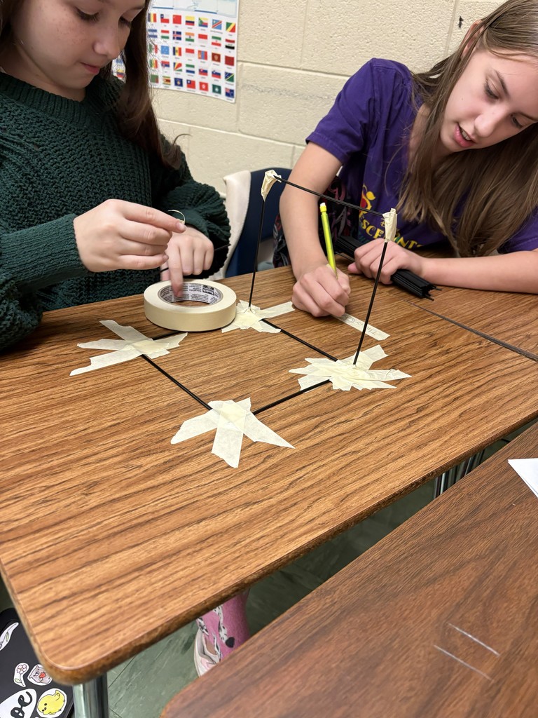 LMS 7th grade social studies students