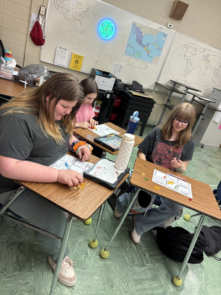 LMS 7th grade social studies students