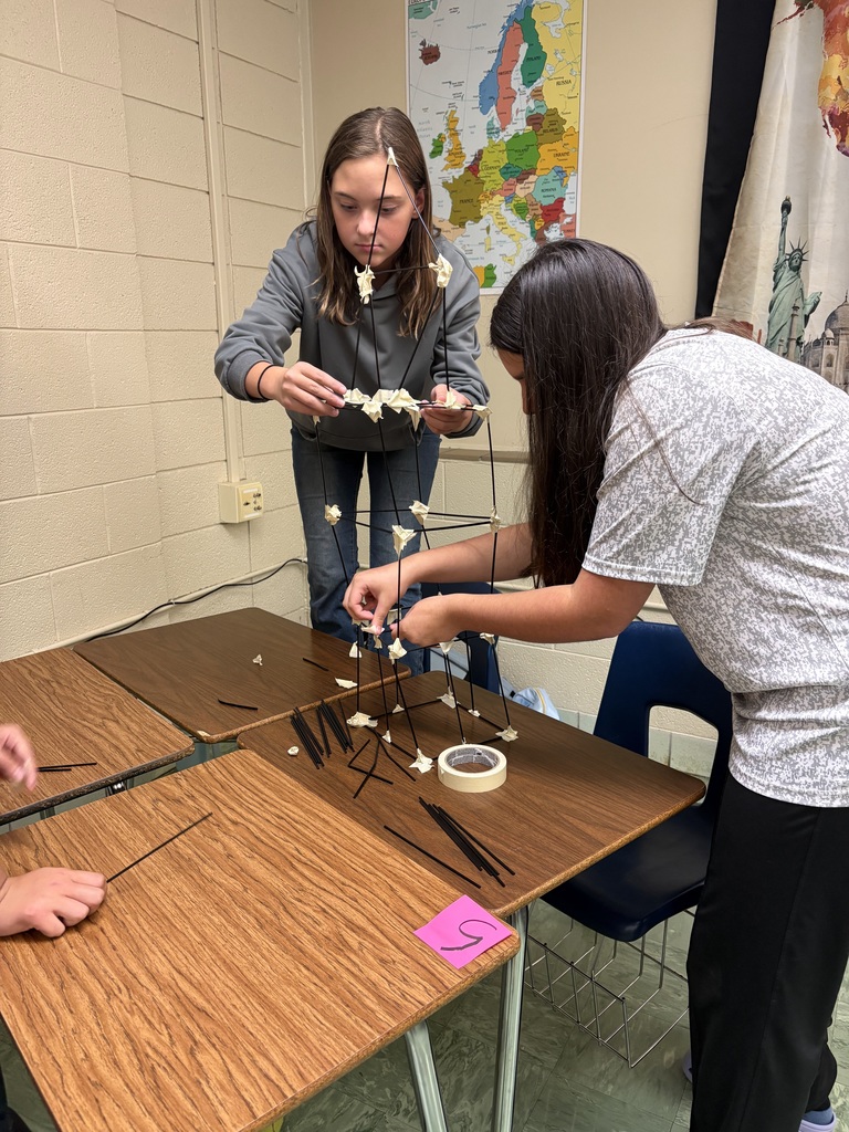 LMS 7th grade social studies students