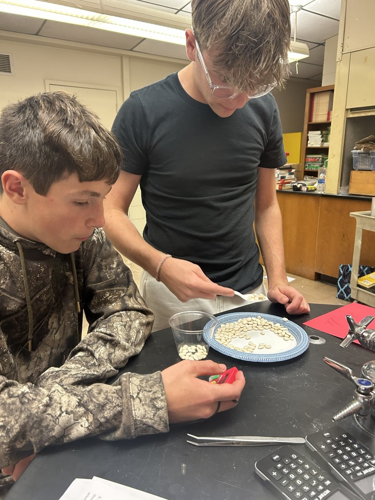 LMS 8th grade science students
