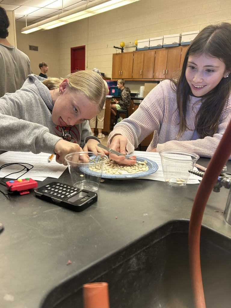 LMS 8th grade science students