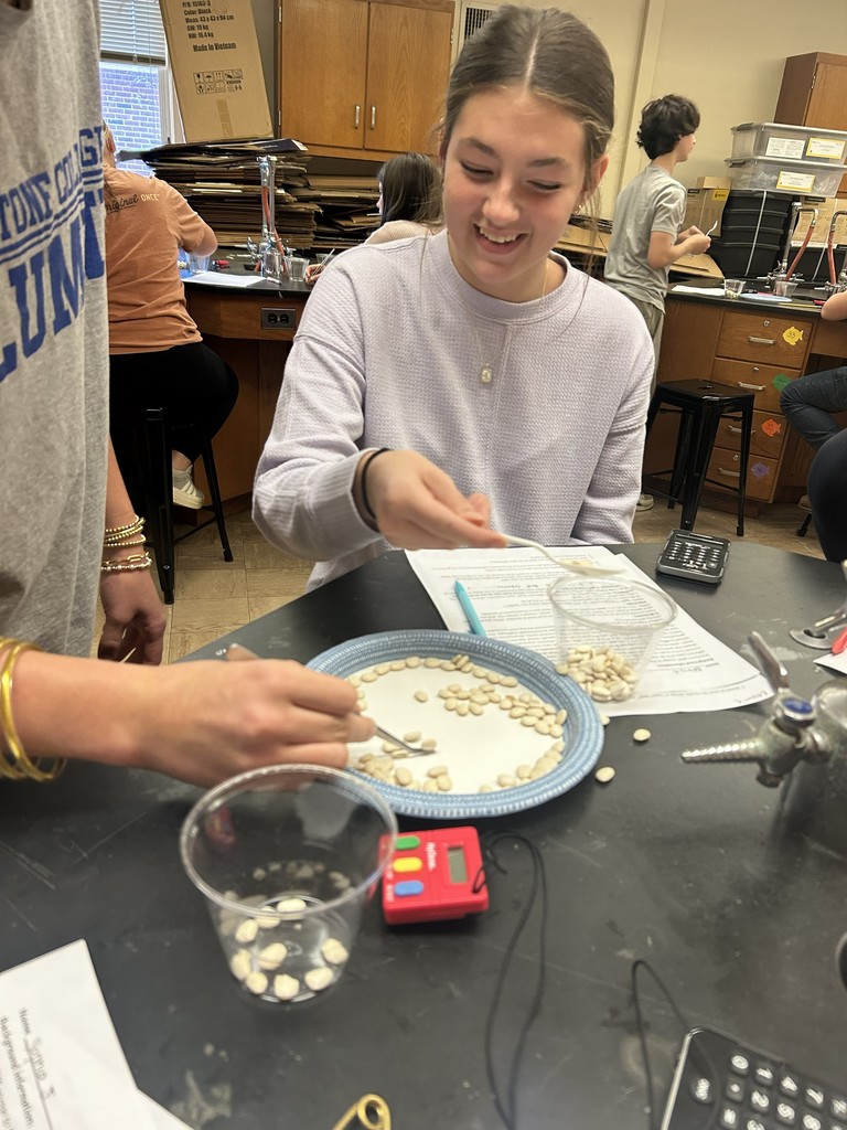 LMS 8th grade science students