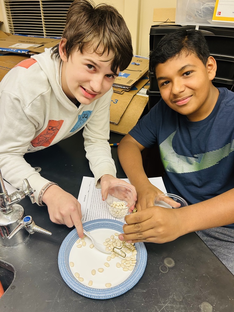 LMS 8th grade science students