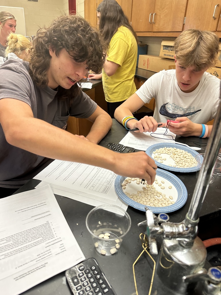 LMS 8th grade science students