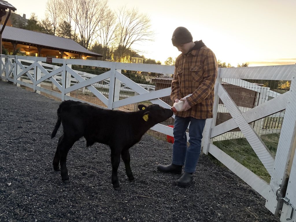 LMS student on job shadow day