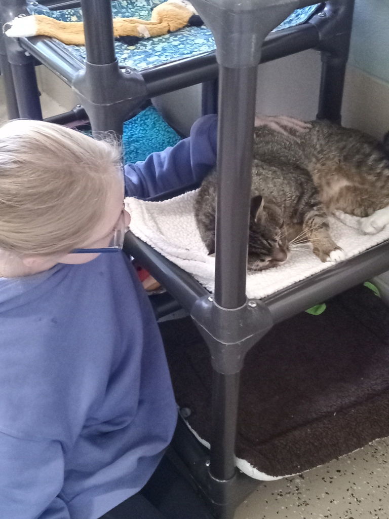 LMS student on job shadow day