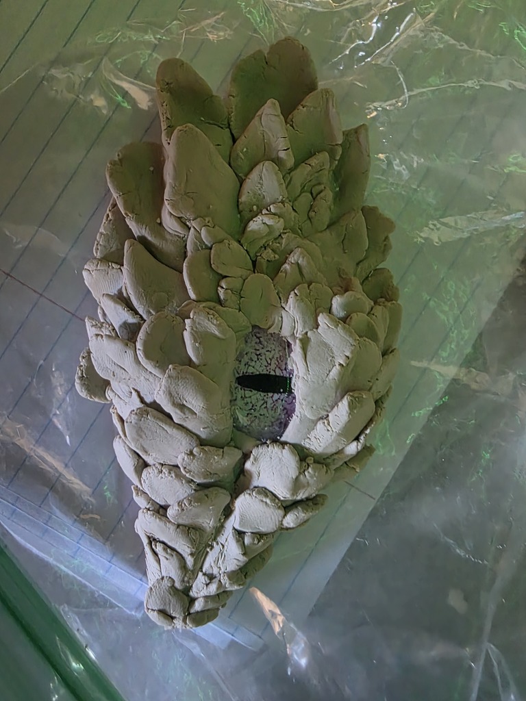 LMS dragon eye project in 7th grade ELA