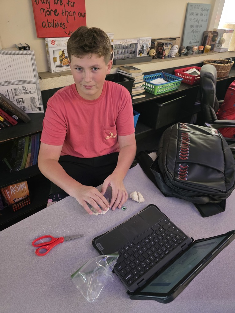 LMS dragon eye project in 7th grade ELA