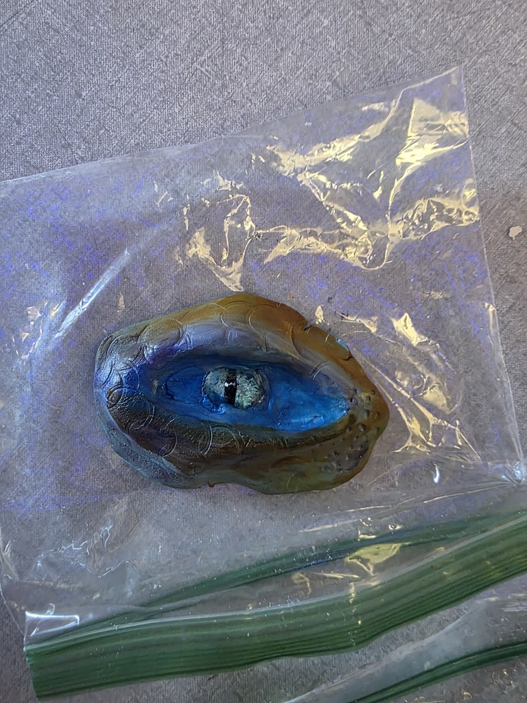 LMS dragon eye project in 7th grade ELA