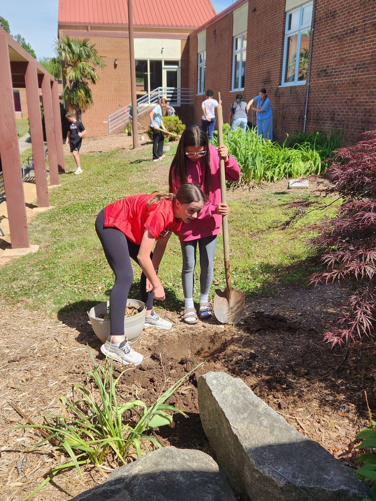 LMS Betas plant flowers