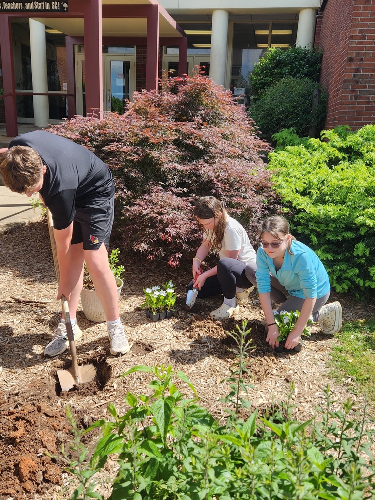 LMS Betas plant flowers