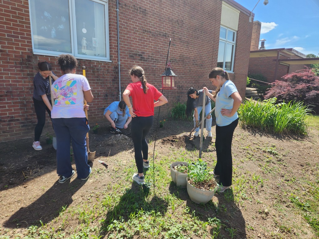 LMS Betas plant flowers