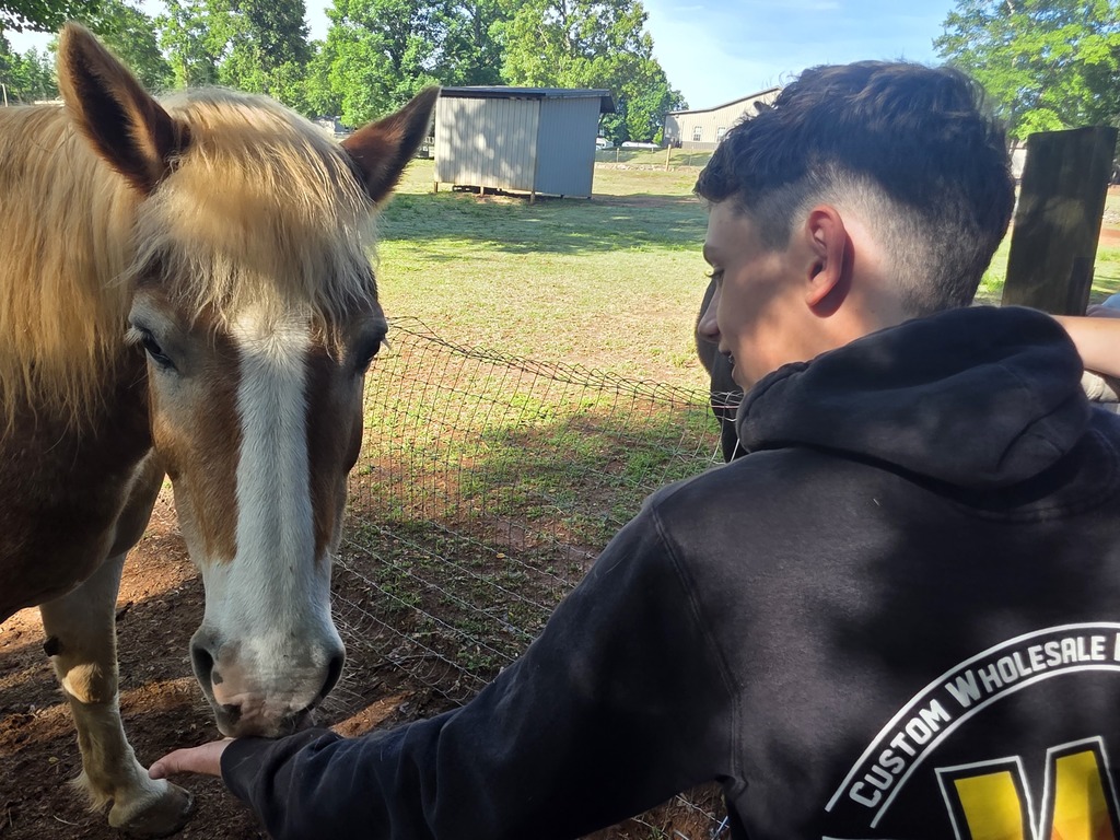 LMS 7th graders visit Hope Remains Ranch