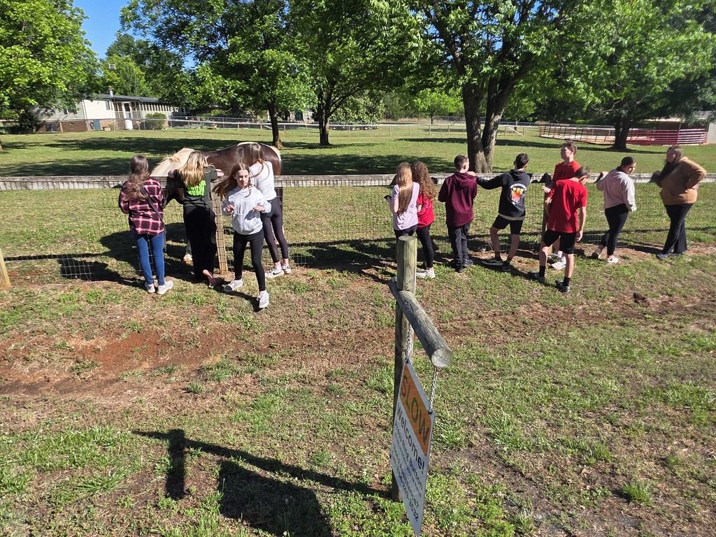 LMS 7th graders visit Hope Remains Ranch