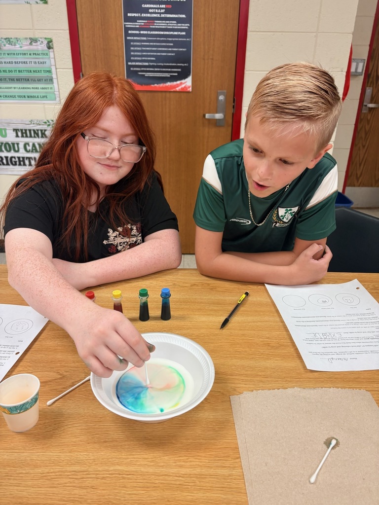 LMS 6th grade science students