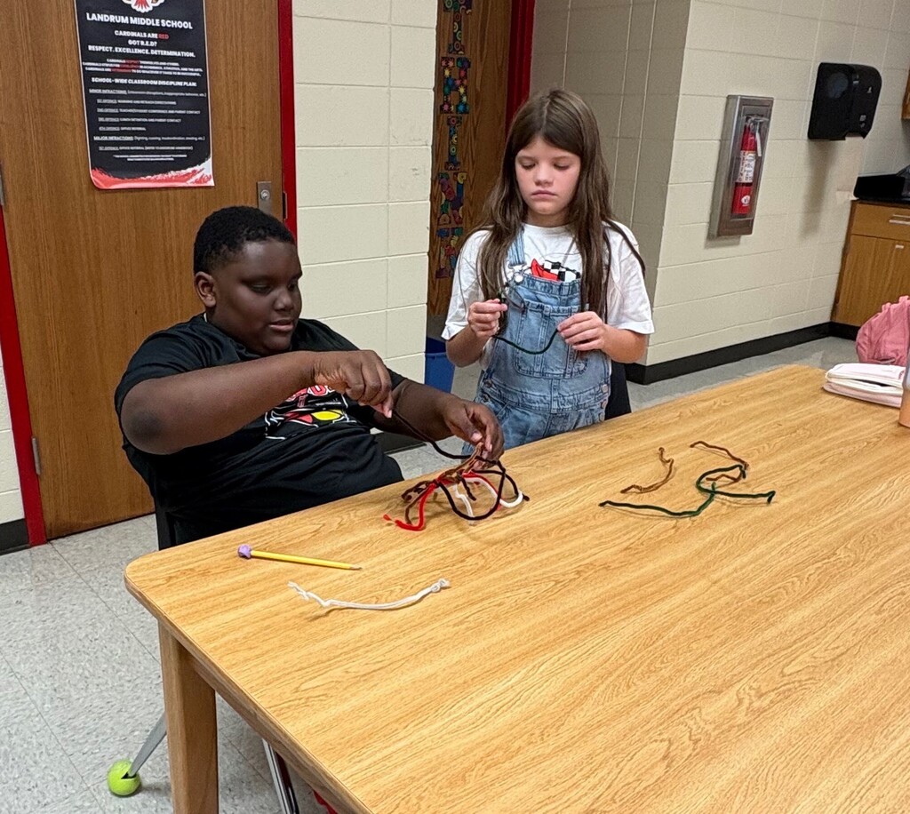 LMS 6th grade science students