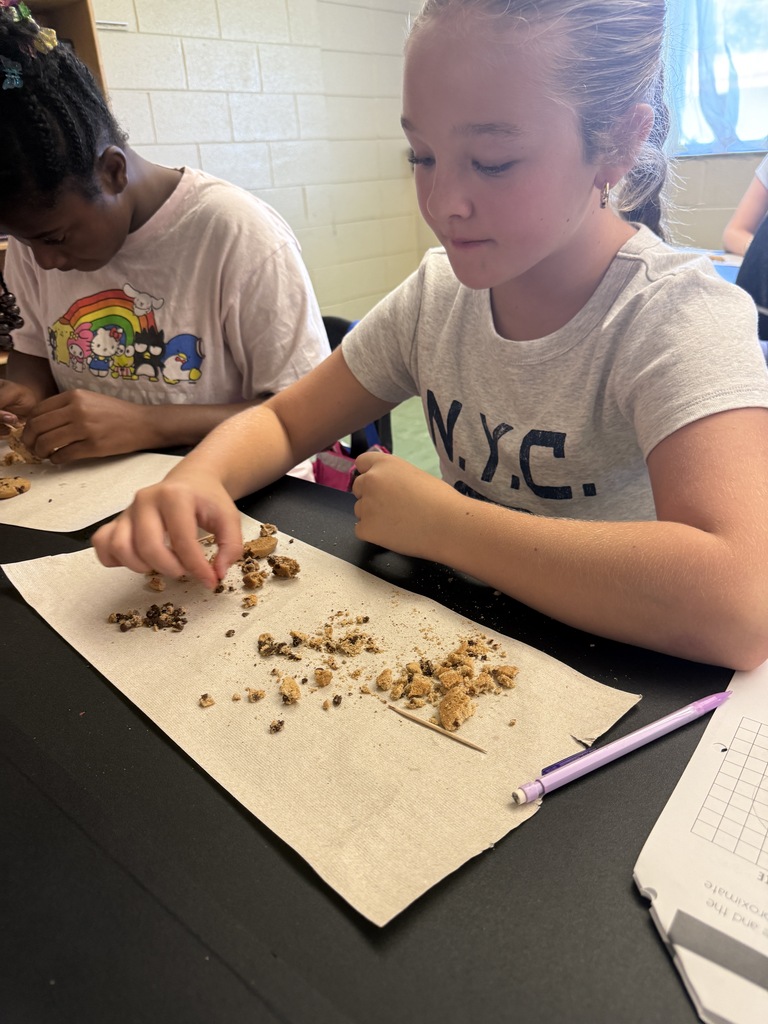 LMS 6th grade social studies