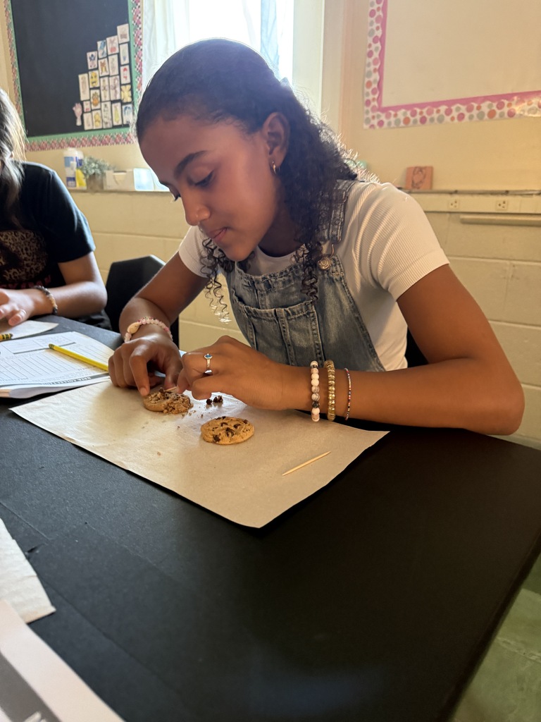 LMS 6th grade social studies