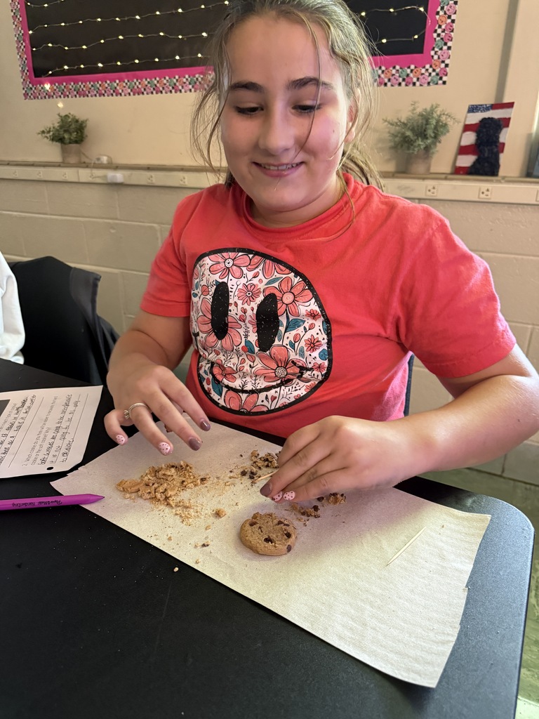 LMS 6th grade social studies