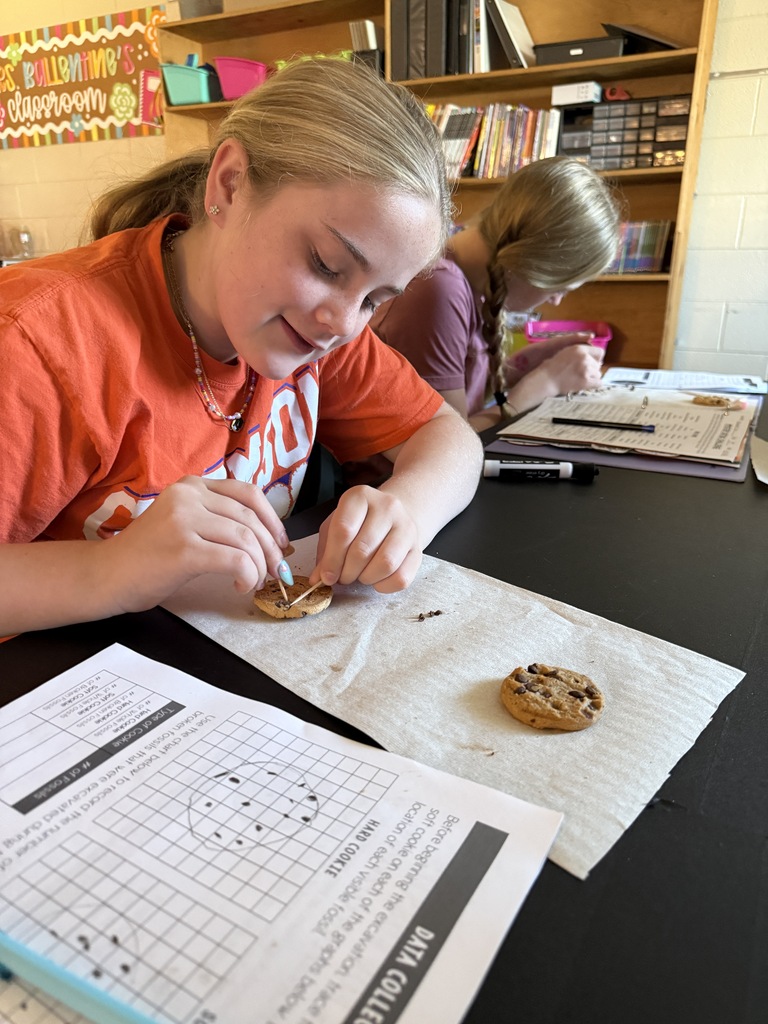 LMS 6th grade social studies