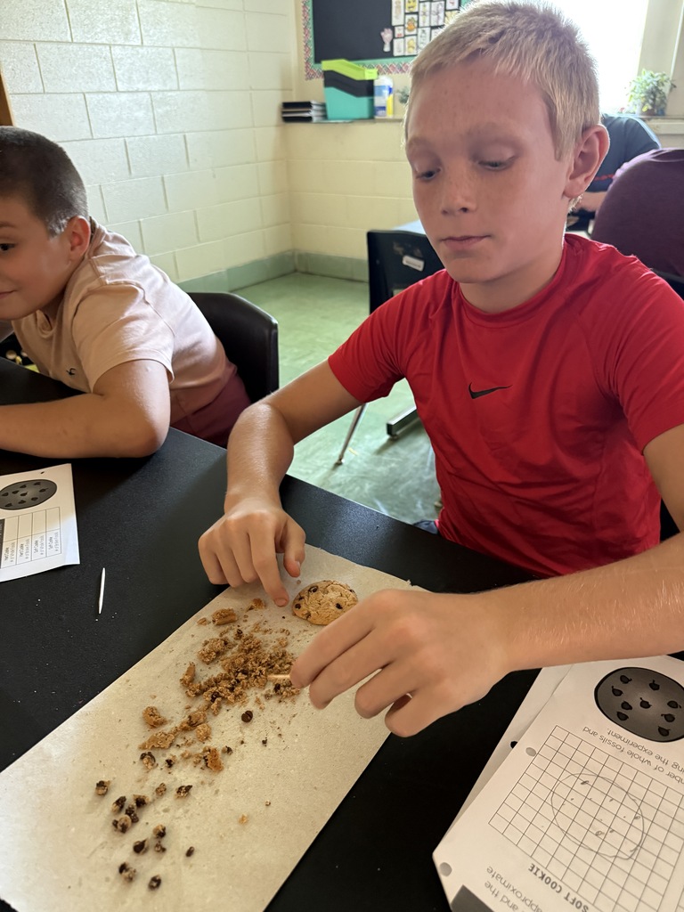 LMS 6th grade social studies