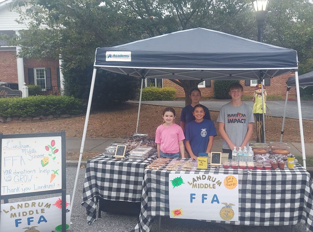 FFA benefit bake sale at Hogback Mountain Day