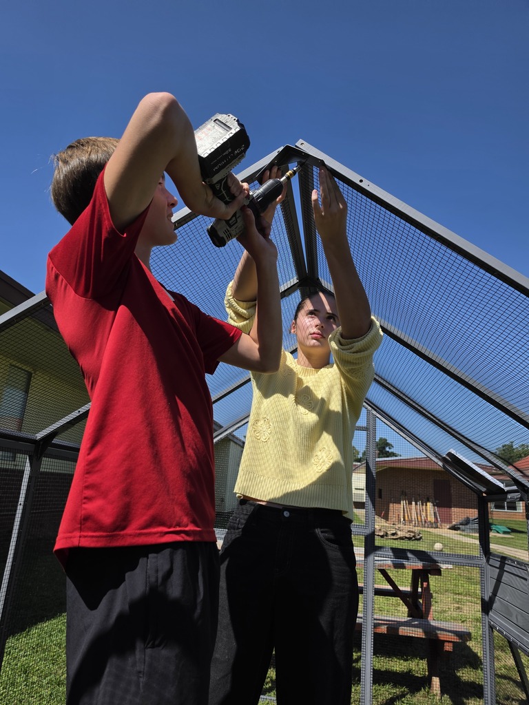 LMS Ag-Ed building chicken coops