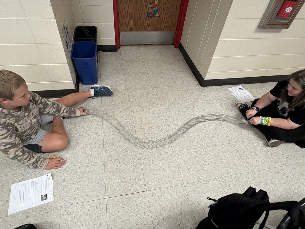 LMS 6th grade science