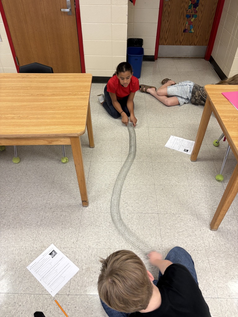 LMS 6th grade science