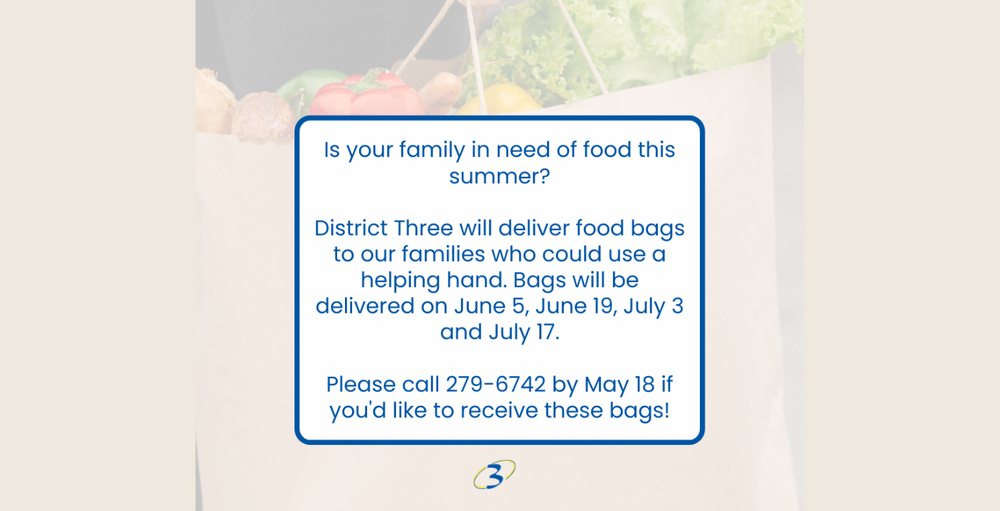 D3 Summer Food Assistance
