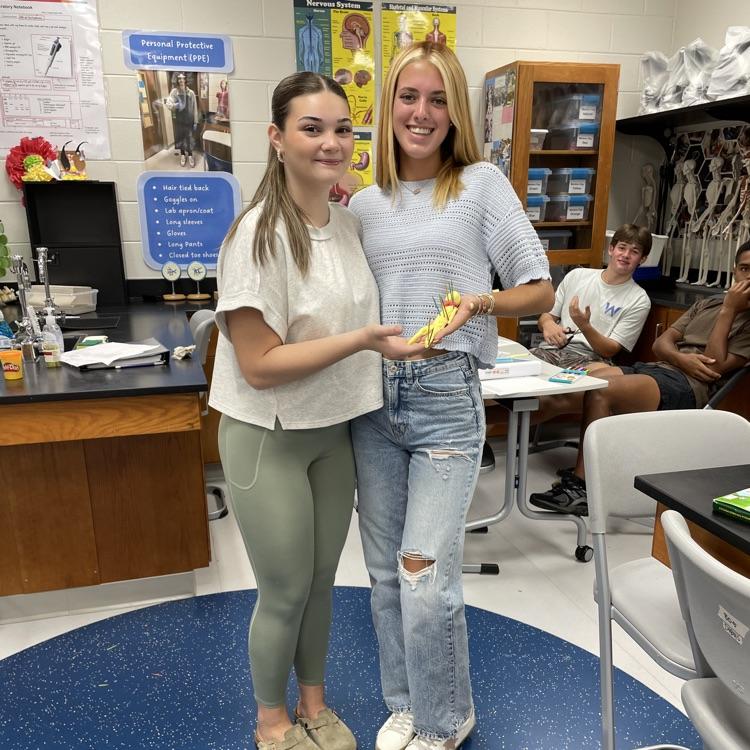 Anatomy