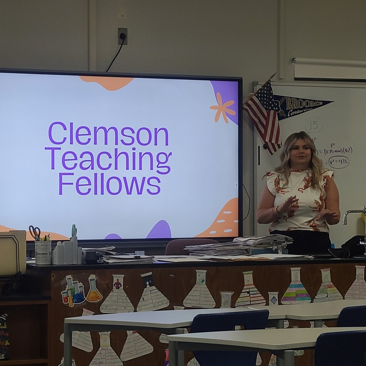 teaching fellows