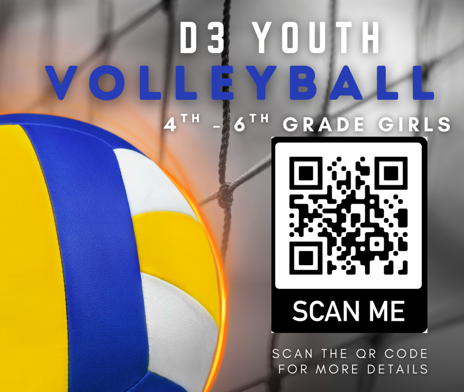 Volleyball