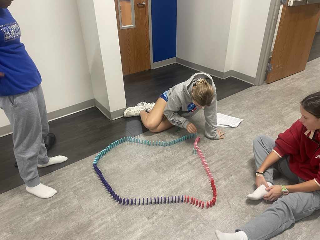 Mrs. Fox's AP Biology class used dominos to apply the 1st and 2nd Laws of Thermodynamics.