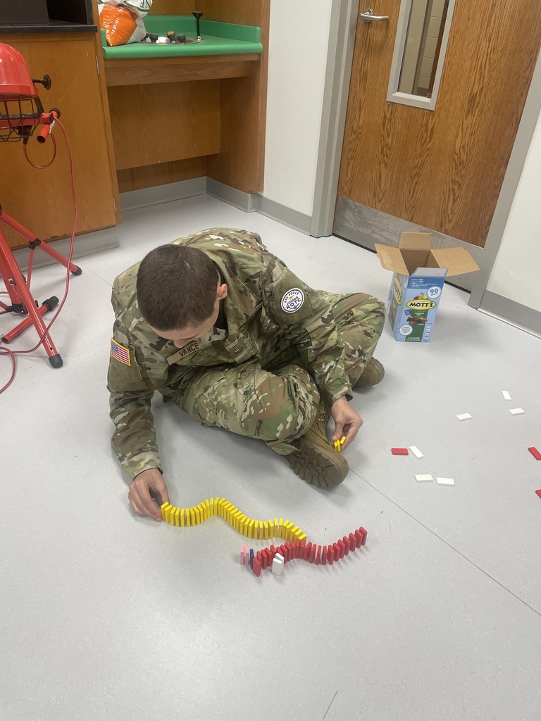Mrs. Fox's AP Biology class used dominos to apply the 1st and 2nd Laws of Thermodynamics.