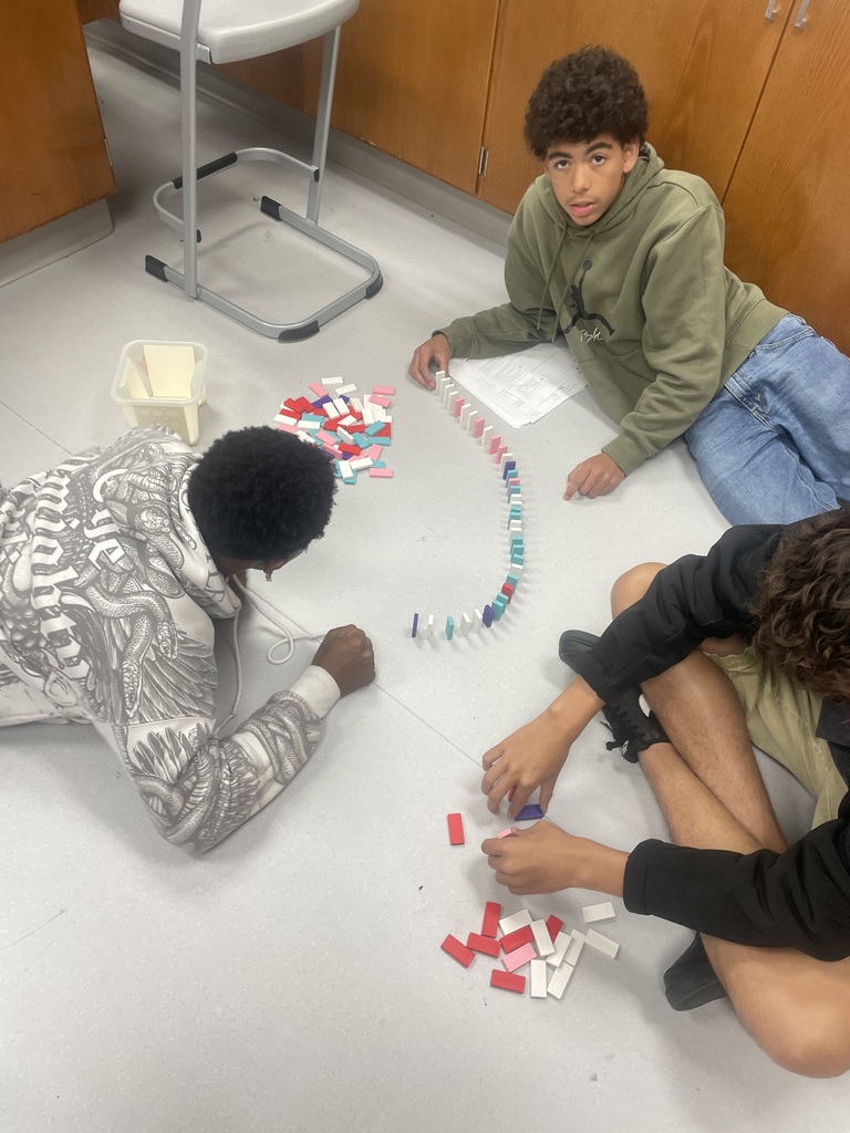 Mrs. Fox's AP Biology class used dominos to apply the 1st and 2nd Laws of Thermodynamics.