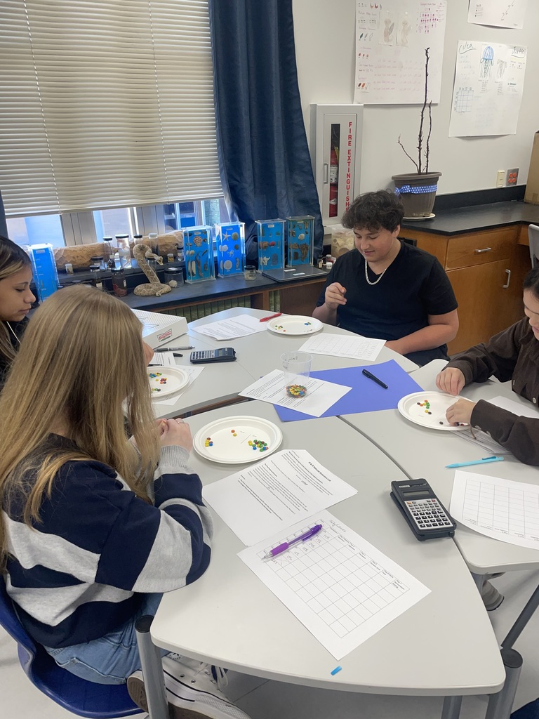 Mrs. Fox's Biology Honors classes studied population genetics using M&Ms.