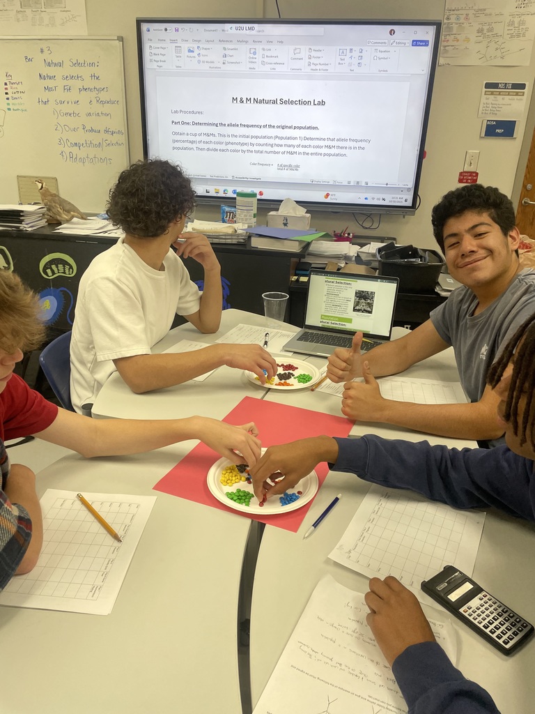 Mrs. Fox's Biology Honors classes studied population genetics using M&Ms.