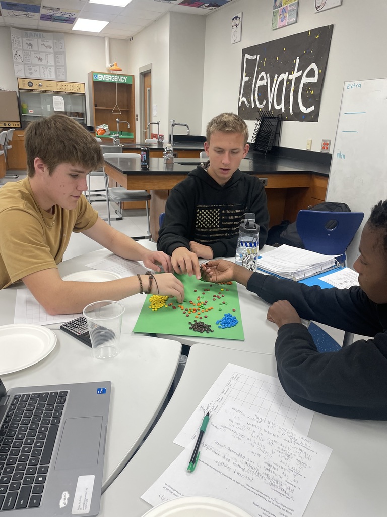 Mrs. Fox's Biology Honors classes studied population genetics using M&Ms.