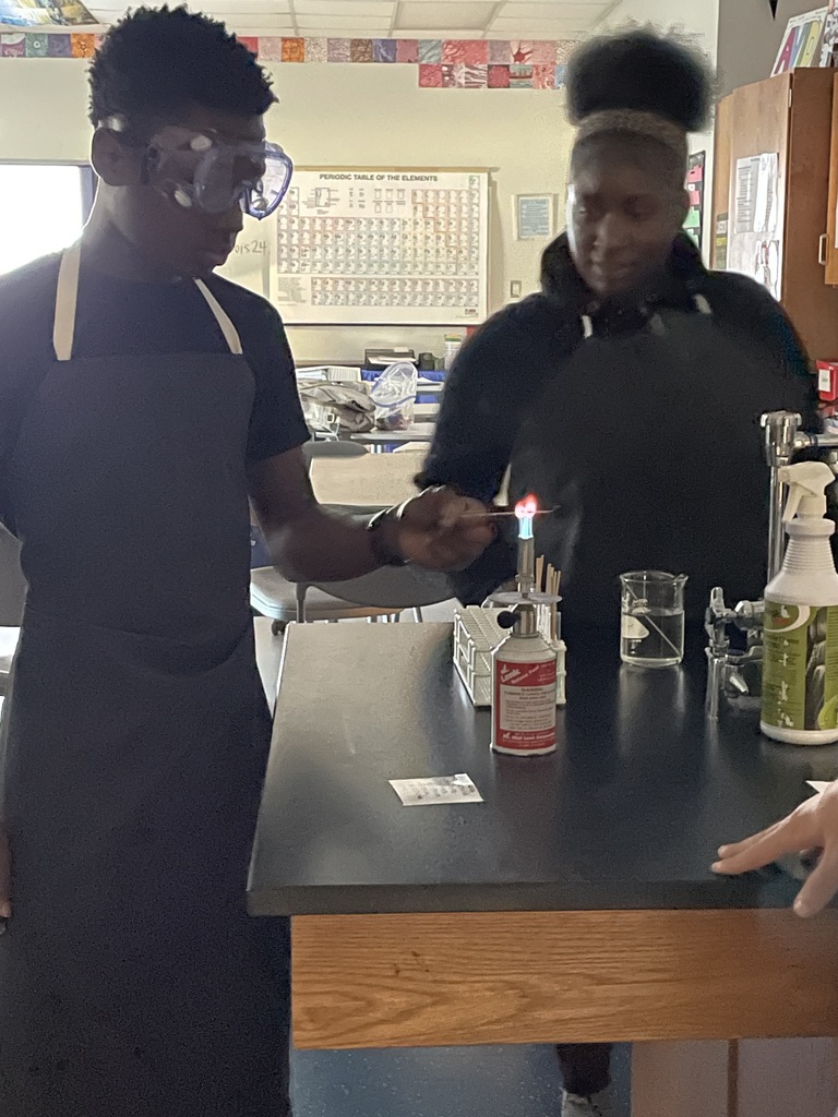Mrs. Dubois's Chemistry class conducted flame tests to determine an unknown metal salt by examining the photons released after heating.