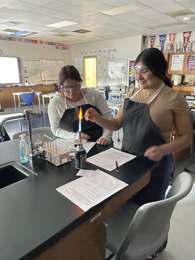 Mrs. Dubois's Chemistry class conducted flame tests to determine an unknown metal salt by examining the photons released after heating.
