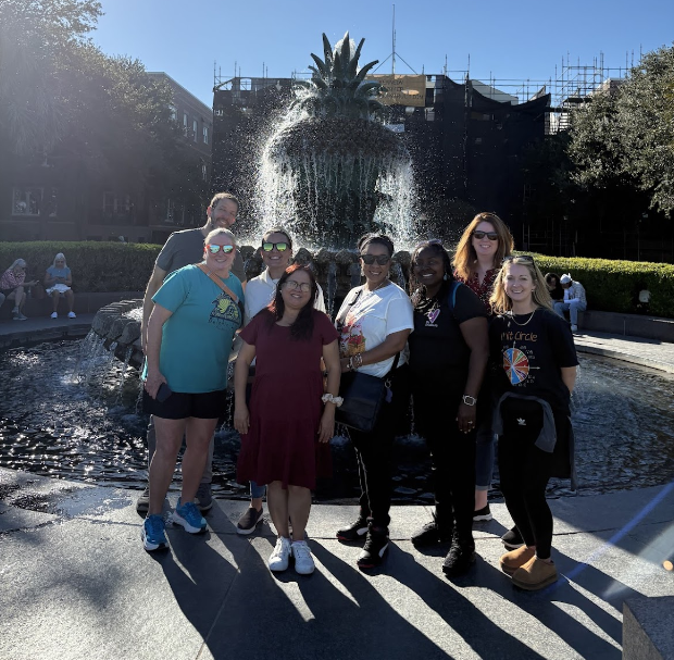 Painter STAR 2025 Seminar