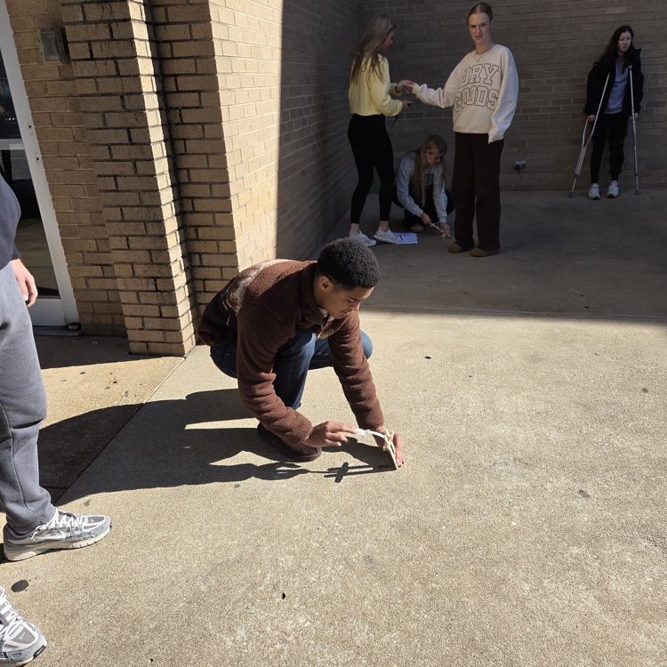 marshmallow catapult 