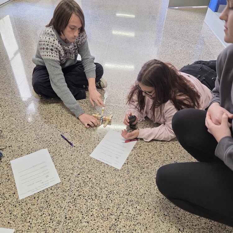 marshmallow catapult 
