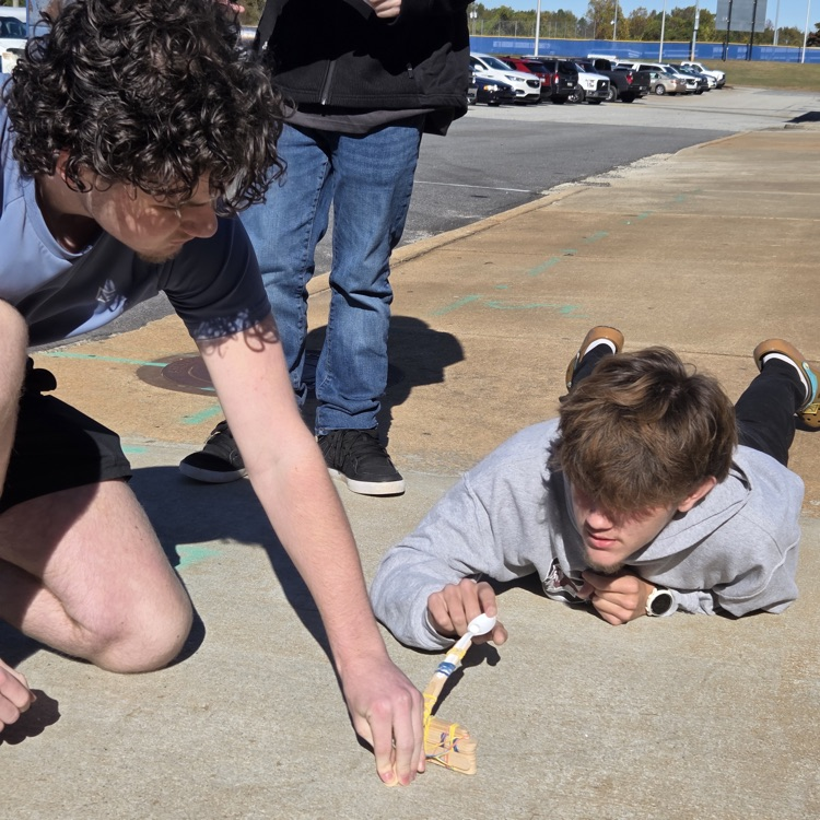 marshmallow catapult 